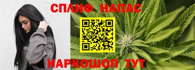 тгк Новодвинск