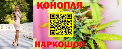 тгк Новодвинск