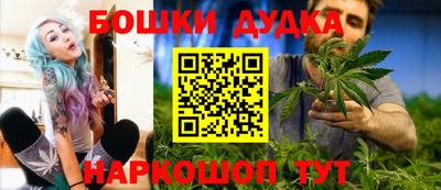 тгк Новодвинск