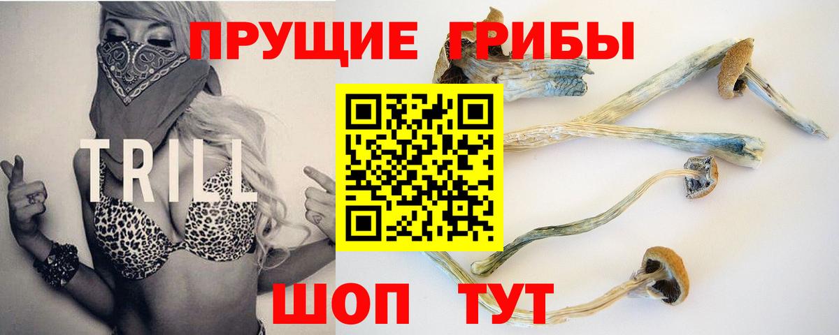 Псилоцибиновые грибы GOLDEN TEACHER  Вход с VPN  Тула 